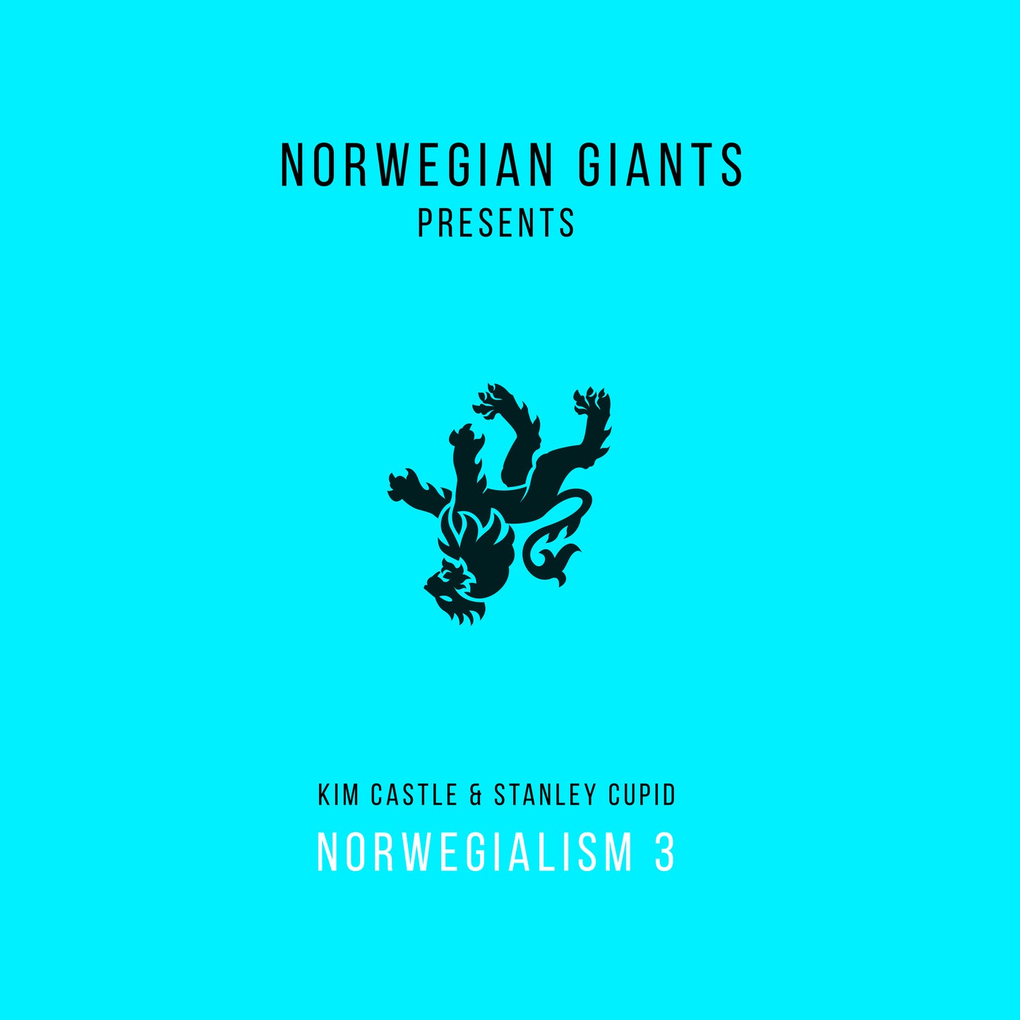 Hybrid Live / DJ performance