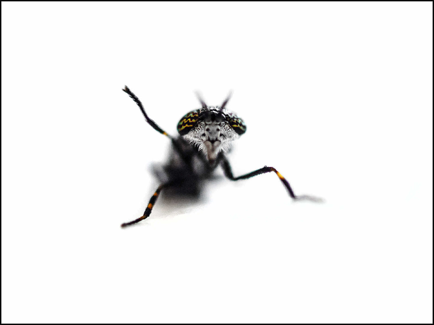 Fotografens hemmeligheter – Lær av Tarjei Krogh – 6-timers workshop 📸