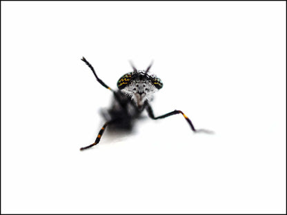 Fotografens hemmeligheter – Lær av Tarjei Krogh – 6-timers workshop 📸