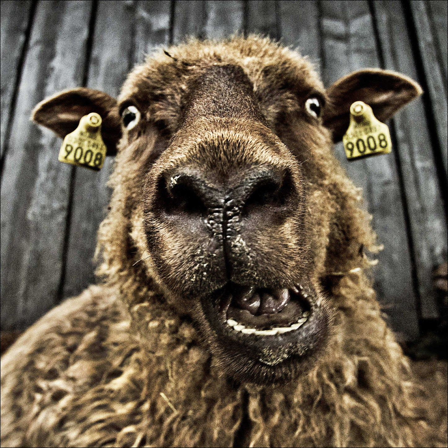 Fotografens hemmeligheter – Lær av Tarjei Krogh – 6-timers workshop 📸