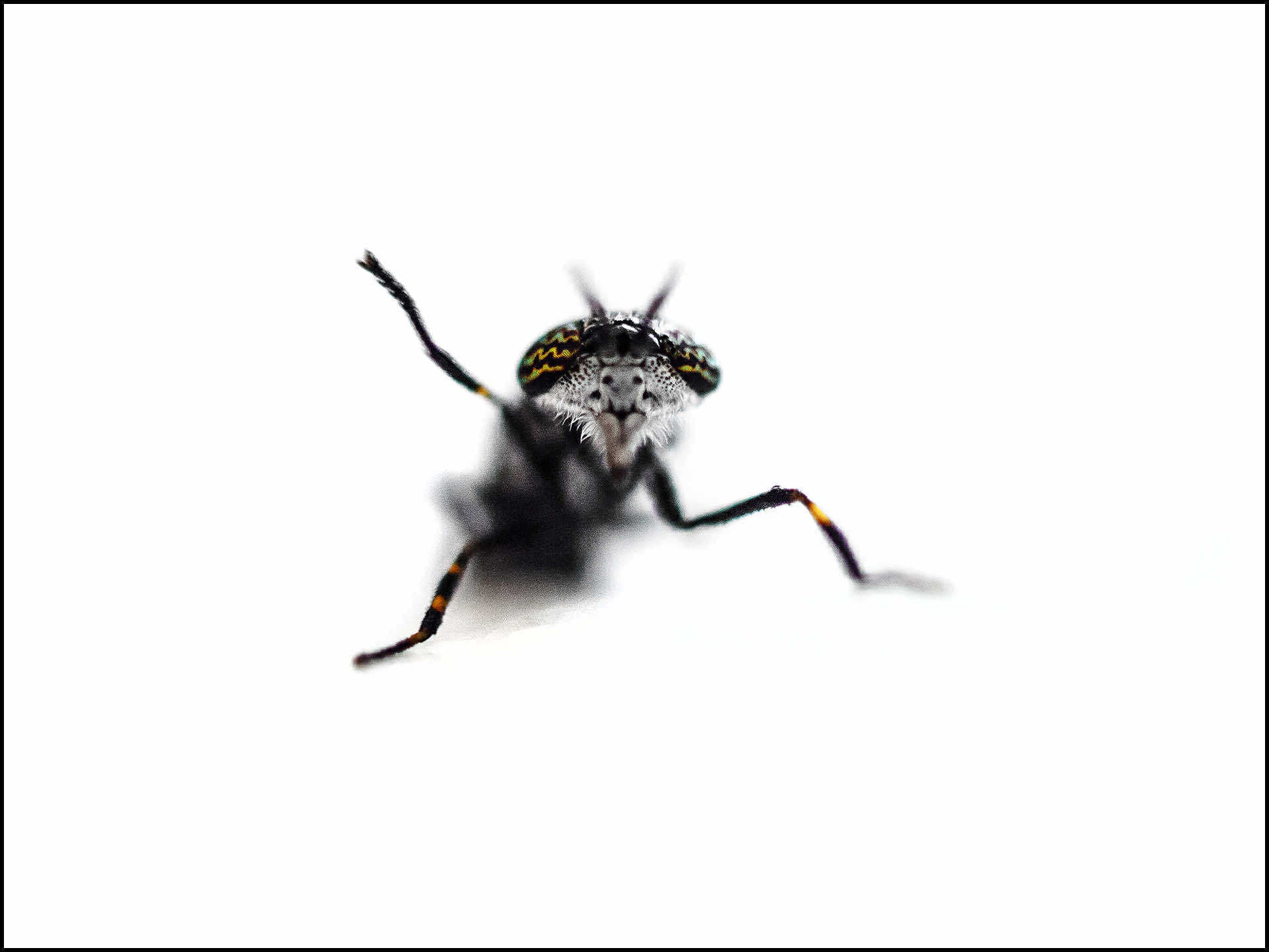 Fotografens hemmeligheter – Lær av Tarjei Krogh – 6 - timers workshop 📸 | Instagram kurs i Oslo | Kulturkultur